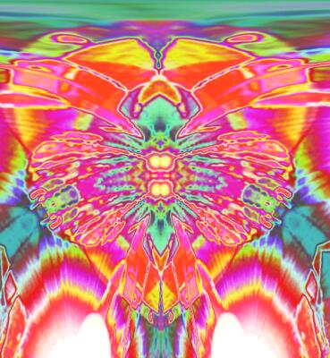 Psychedelic Butterfly