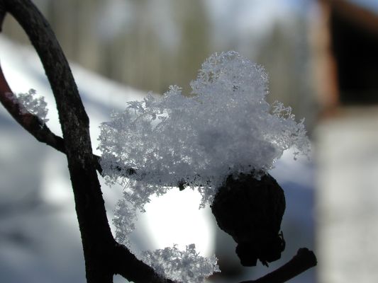 Ice Crystals