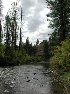 River Solitude