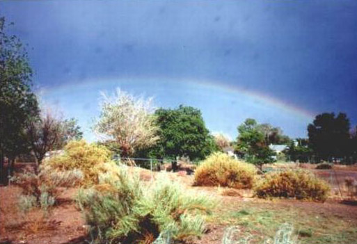 Cathie's Rainbow