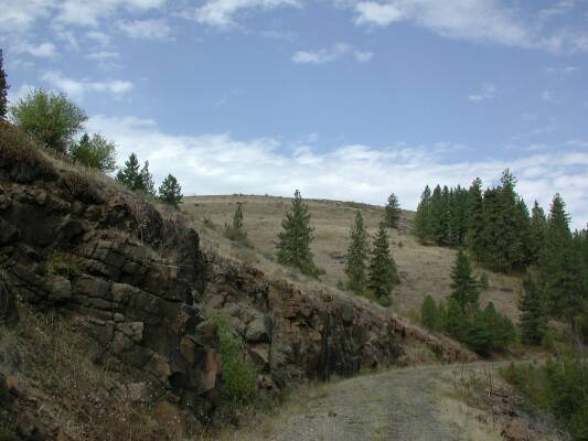 Fruitvale Road Landscape