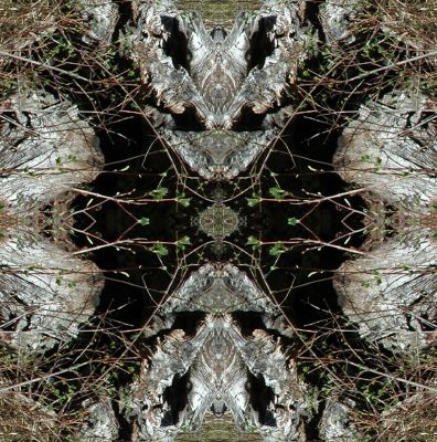 Weathered Root Pattern 11