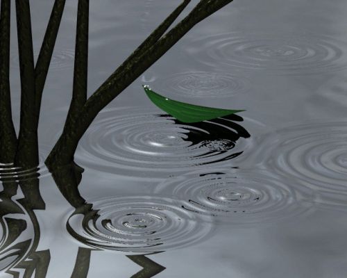 Floating Leaf