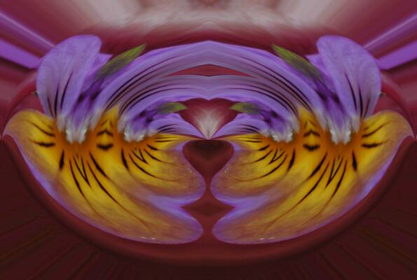 Heart of the Flowering