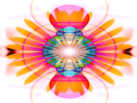 Flower Yantra 21