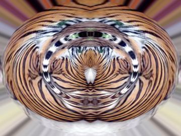 [To Cosmic Wind Main Page] Tiger Eye 2
