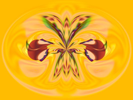 Metamorphosis