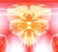 on towards *metamorphosis*