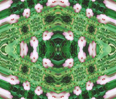 Eye of Flowering Intricacies