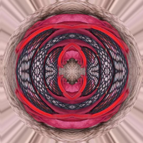 Web Of Rose Allurement
